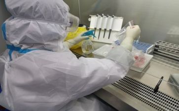 质量个人年终工作总结8篇