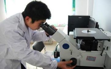 质量周工作计划推荐8篇