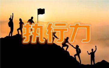 执行和一的心得体会通用8篇