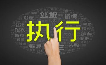 执行局个人总结6篇