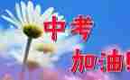 迎战中考演讲稿200模板5篇