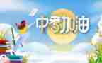 小中考工作总结最新7篇