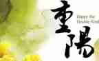 重阳月活动总结推荐5篇