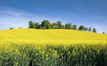 高中一件事作文7篇