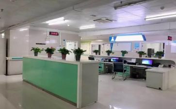 专科自我鉴定模板6篇