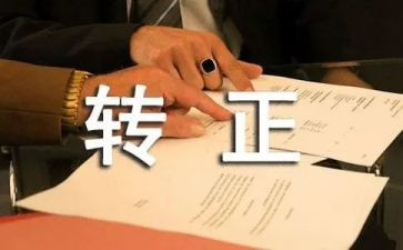 大学教师转正工作总结5篇