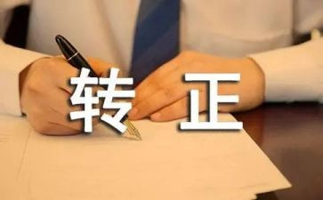 转正写个人工作总结优质8篇