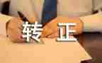 转正写个人工作总结优质8篇