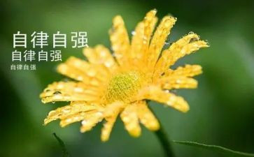 大学生当自强演讲稿模板8篇