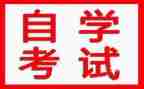 自学生年终总结6篇