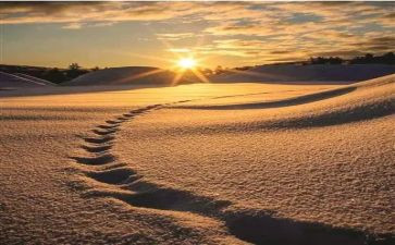 和梦想一起走过作文5篇