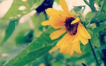 读后感做最好自己读后感6篇