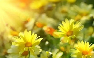 读后感做最好自己读后感通用6篇